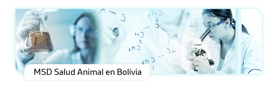 Sobre Nosotros - Salud Animal Bolivia